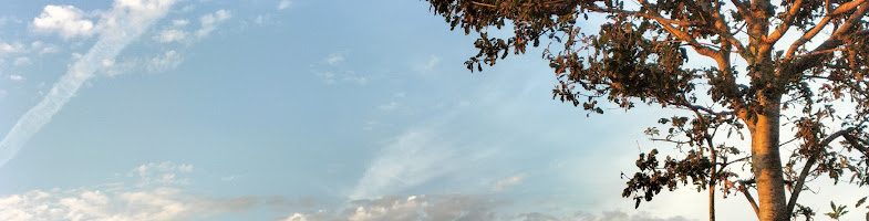 ar seitekvet Sul goude ar Sul-Gwenn (novus ordo 27vet Sul)