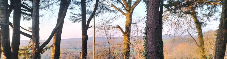 Sul ar Pemontved ; pe 6vet Sul per annum