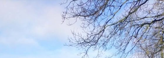 Sul ar Seikontved; novus ordo: 4re Sul per annum