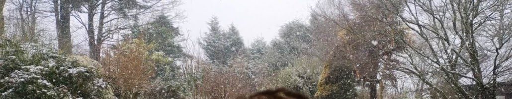 Tiegezh Santel Jezuz, Mari ha Jozef; novus o.: Badeziant Hon Salver