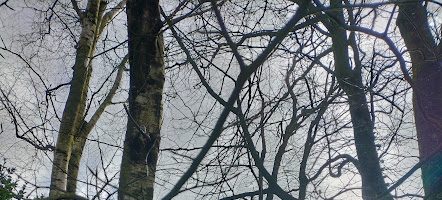 Sul ar C&rsquo;hwekontved; 5vet Sul per annum