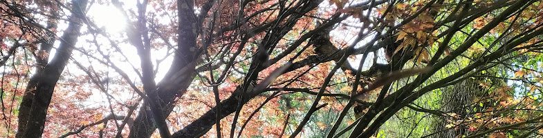 Sul eizvetezh Pask (Sul ar C’hasimodo), pe Sul Trugarez Doue