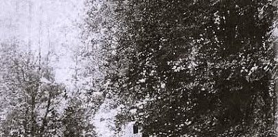 an naontekvet Sul goude ar Sul-Gwenn (novus ordo/ 27vet Sul per annum)